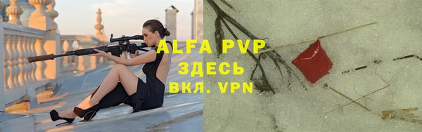спиды Верея