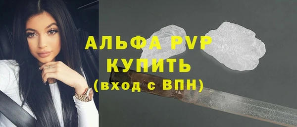 спиды Верея