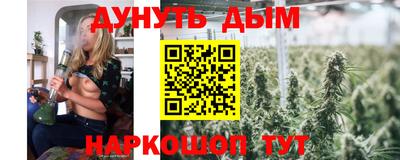 СК Дубна