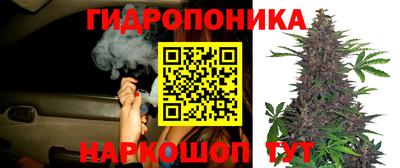 СК Дубна