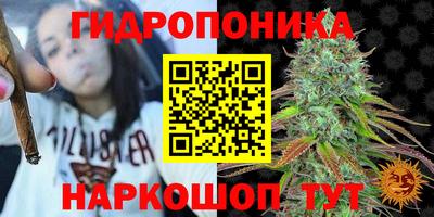 a pvp Заволжье