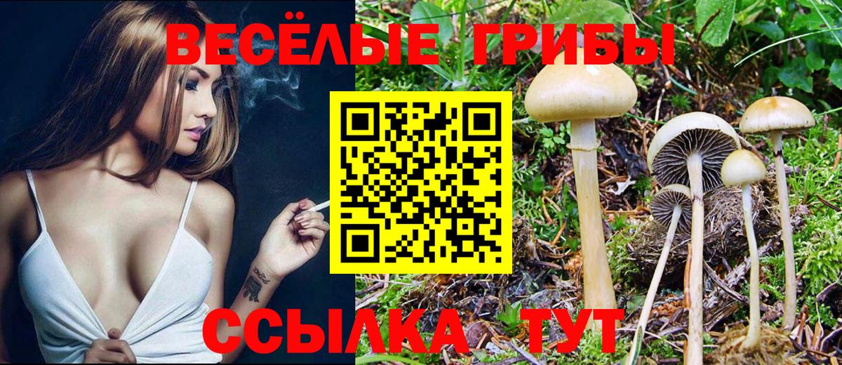 Галлюциногенные грибы Cubensis  Вход с VPN  Медногорск 
