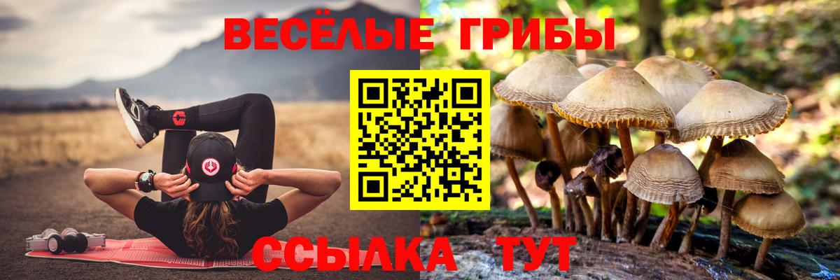 Галлюциногенные грибы Magic Shrooms Медногорск